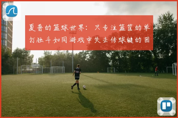 夏普的篮球世界：只专注篮筐的单打独斗如同游戏中失去传球键的困境