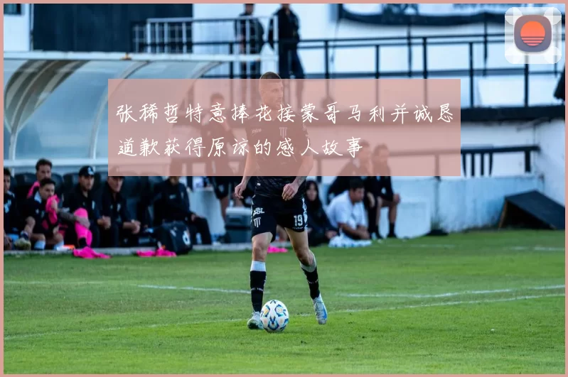 张稀哲特意捧花接蒙哥马利并诚恳道歉获得原谅的感人故事