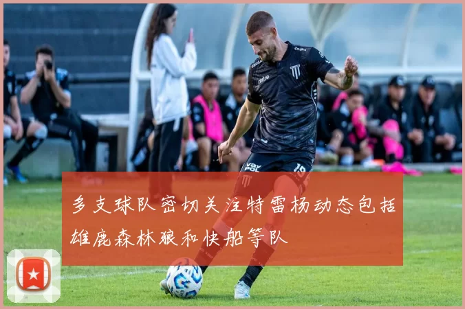 多支球队密切关注特雷杨动态包括雄鹿森林狼和快船等队