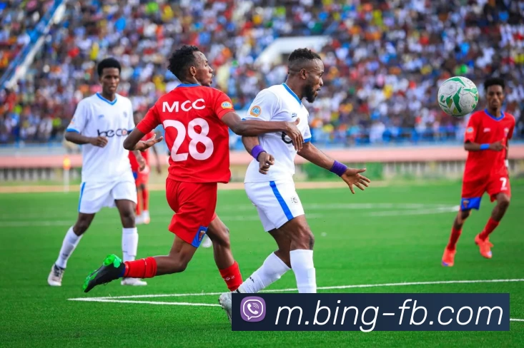 FB体育平台生态图