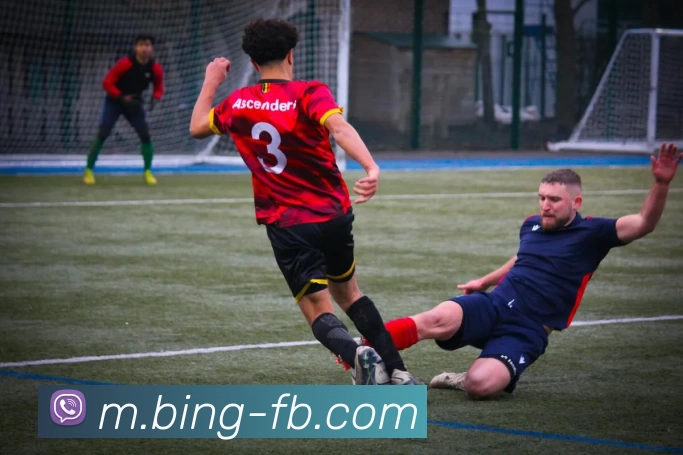 FB体育APP 封面图